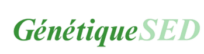 cropped logo.png